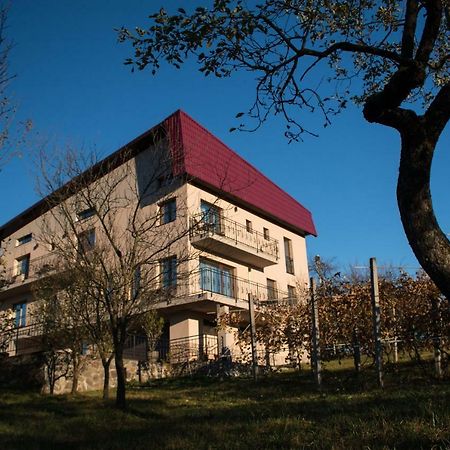 Panoramic Hotel Baia Sprie Eksteriør billede