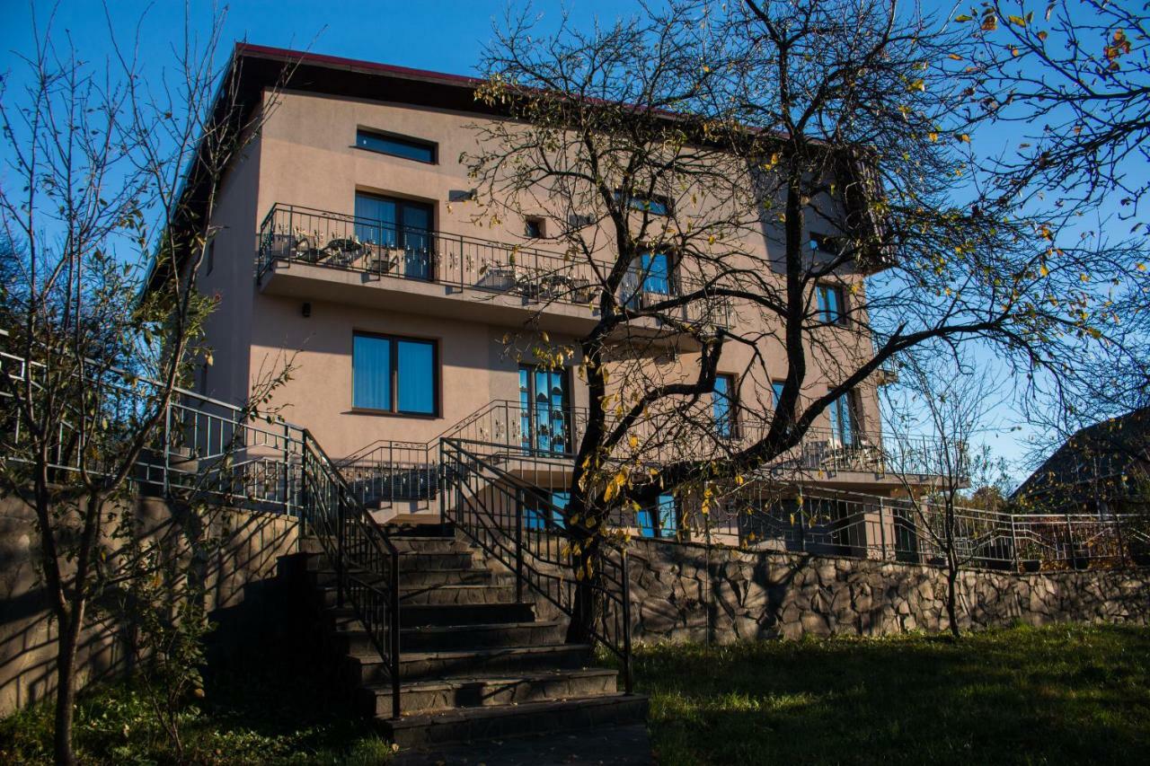 Panoramic Hotel Baia Sprie Eksteriør billede